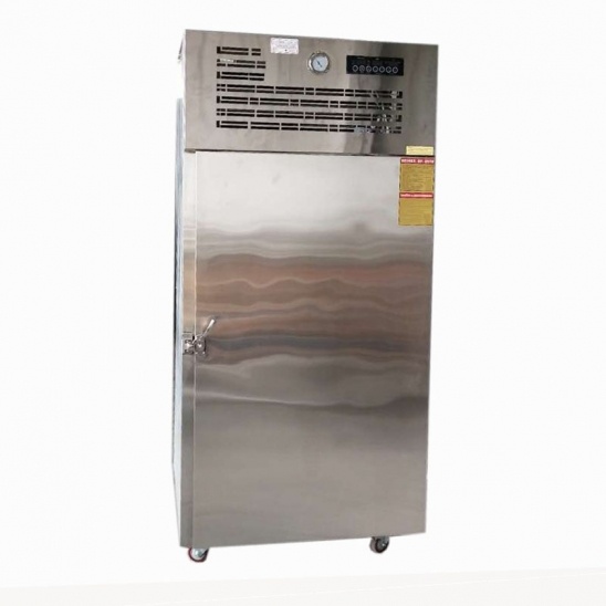 ร้านอาหารโฆษณาของเร็วกว่าจุดเยือกแข็ง freezers chiller อรองอุตสาหกรรมการระเบิดตู้เย็น 