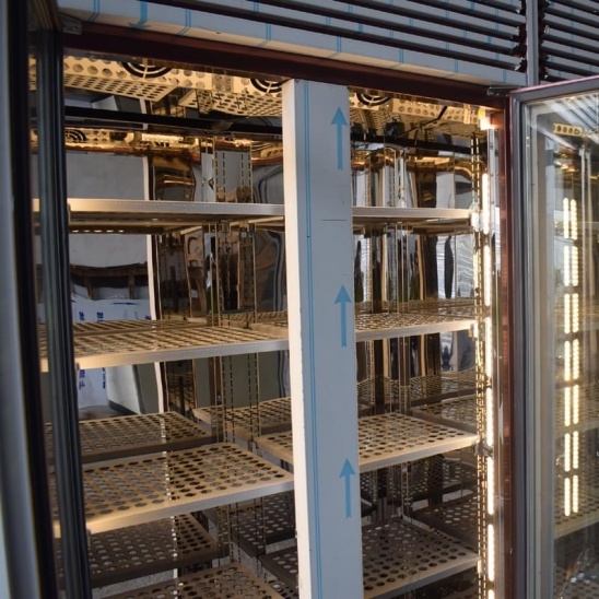 ที่ดีที่สุดที่ขายสองประตูโรสทอง stainless เหล็กกล้าเนื้อ drying แสดงตู้เย็น 