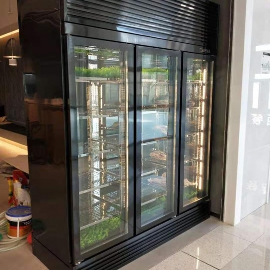 สามกระจกประตูสีดำ stainless เหล็กแสดงเนื้อในตู้ให้หน่อย 